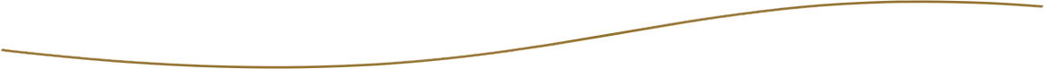 Separator2.1 Separator2